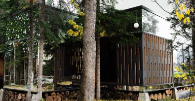Mirrored townhouse forest