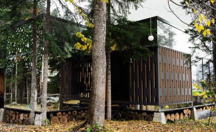 Mirrored townhouse forest